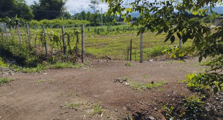 Terreno en venta en Ban Thi, Lamphun