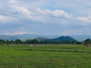 ขาย ที่ดิน ใน บ้านธิ, ลำพูน