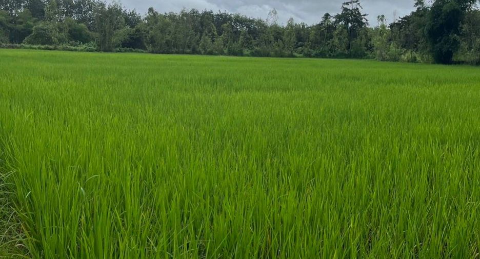 For sale 5 bed house in Phon Phisai, Nong Khai