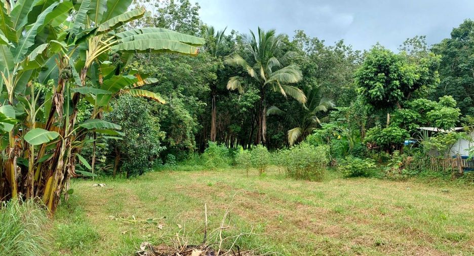 For sale 5 bed house in Phon Phisai, Nong Khai