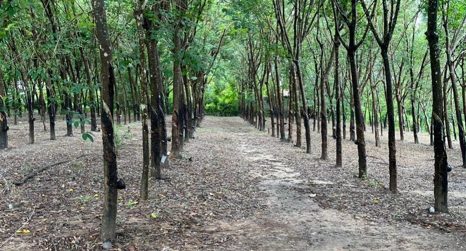 For sale 5 bed house in Phon Phisai, Nong Khai