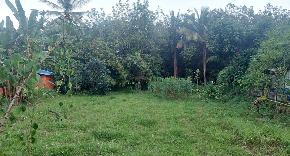 For sale 5 bed house in Phon Phisai, Nong Khai