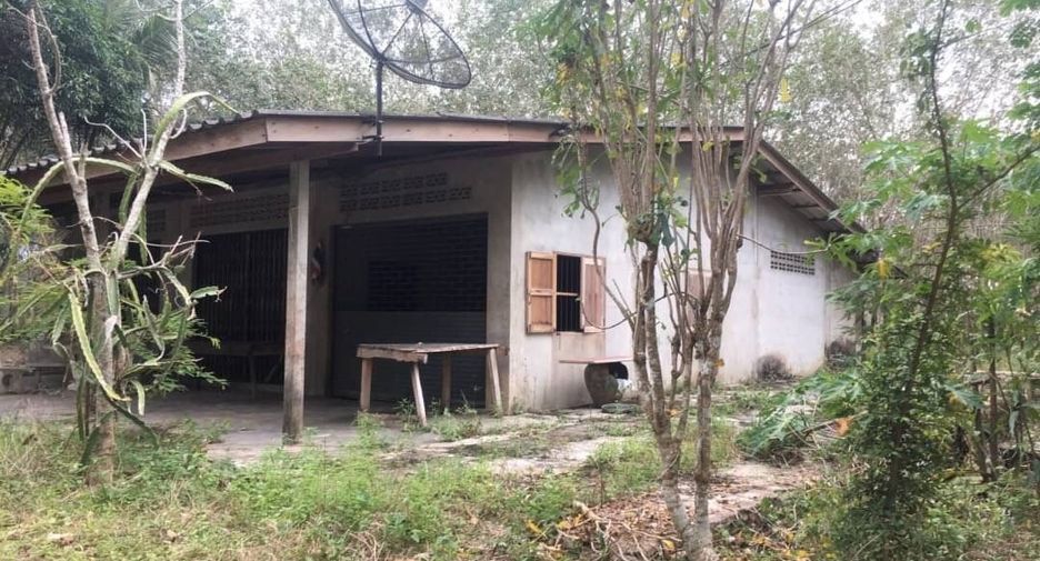 For sale land in Na Yai Am, Chanthaburi