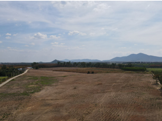 For sale land in Nong Yai, Chonburi