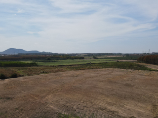 For sale land in Nong Yai, Chonburi
