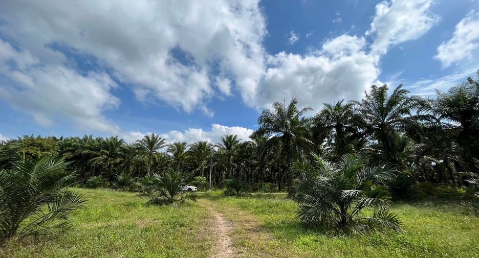 For sale land in Ao Luek, Krabi
