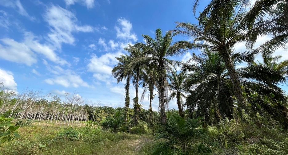 For sale land in Ao Luek, Krabi