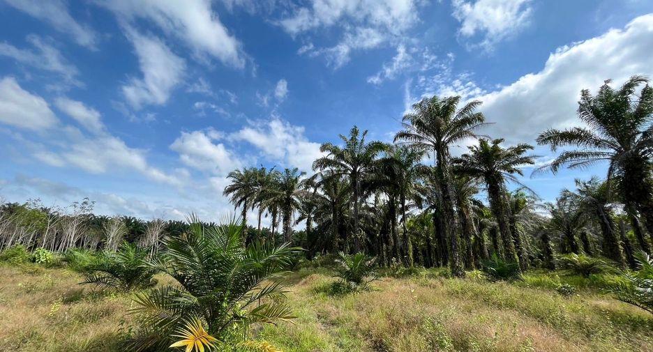 For sale land in Ao Luek, Krabi