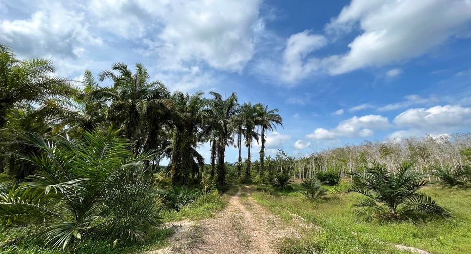 For sale land in Ao Luek, Krabi