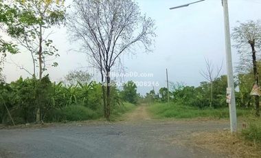For sale land in Thanyaburi, Pathum Thani