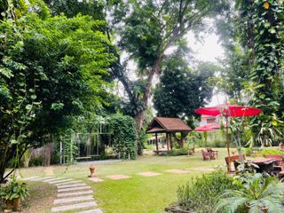 Hotel en venta de 9 habitaciones en Mueang Chiang Mai, Chiang Mai