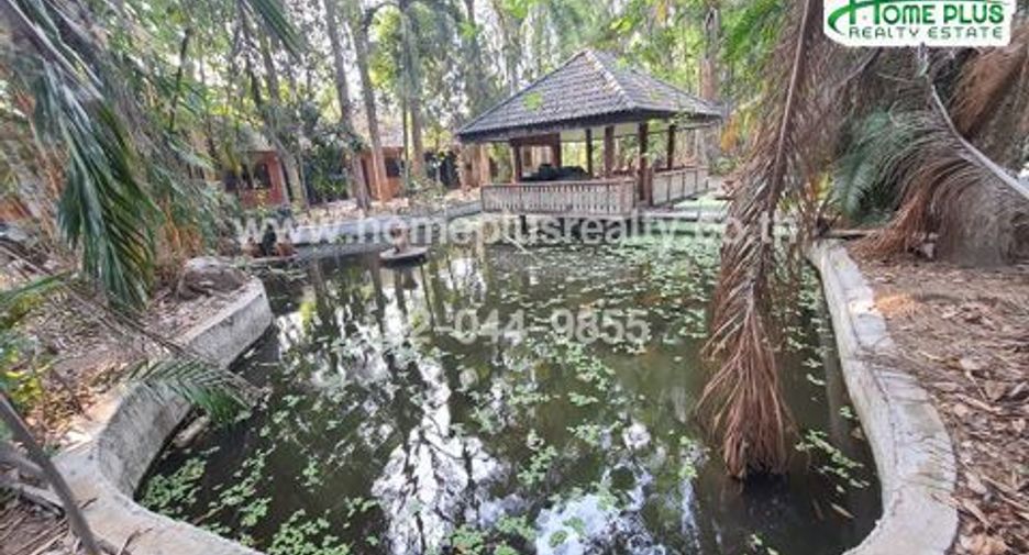 Terreno en venta en San Sai, Chiang Mai