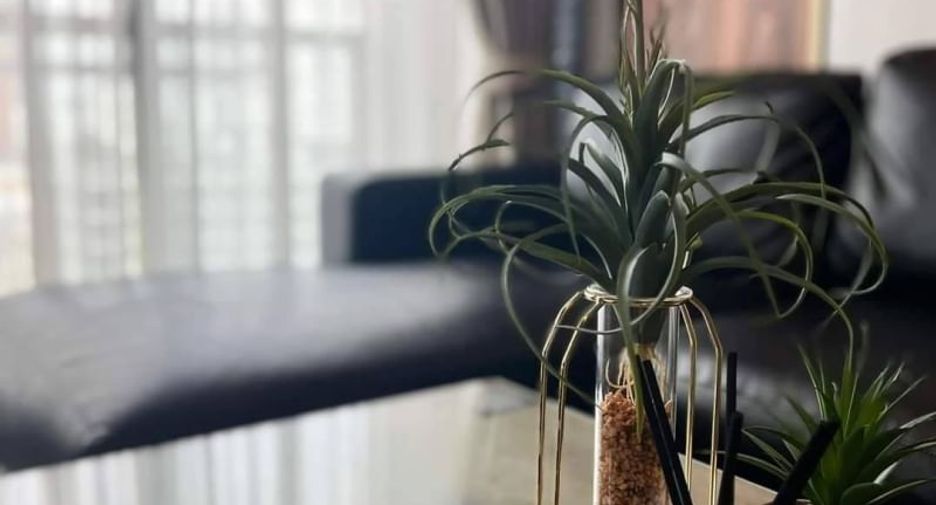 For rent and for sale 2 bedrooms condo in Khlong Toei, Bangkok