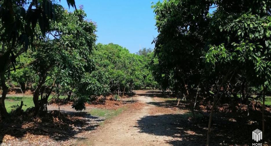 For sale land in Ban Thi, Lamphun