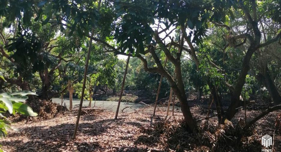For sale land in Ban Thi, Lamphun