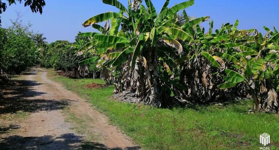 For sale land in Ban Thi, Lamphun