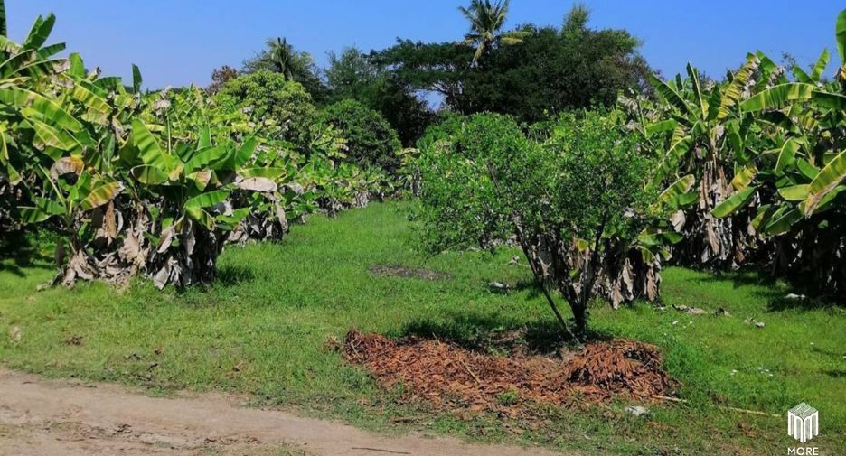For sale land in Ban Thi, Lamphun