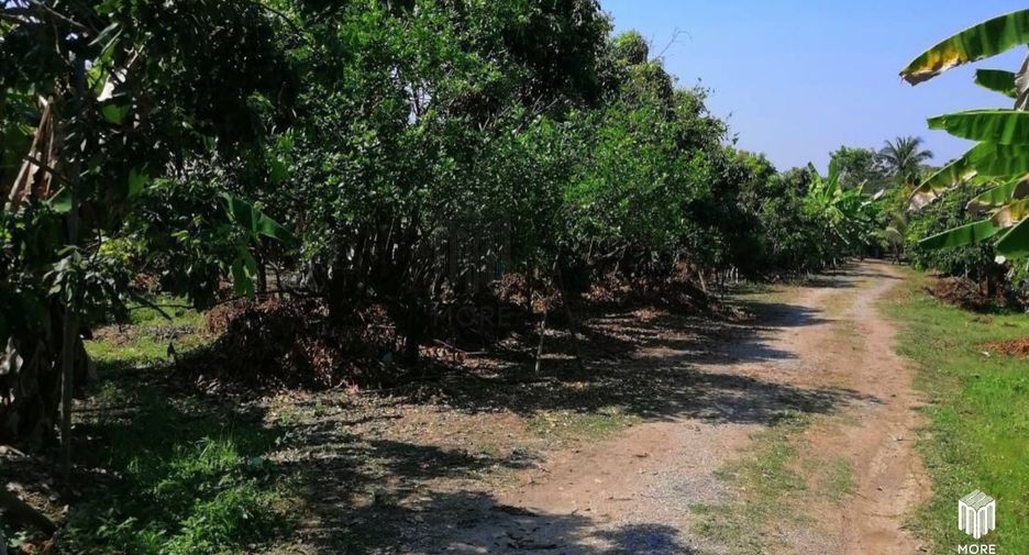 For sale land in Ban Thi, Lamphun