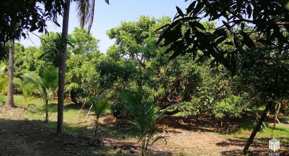For sale land in Ban Thi, Lamphun