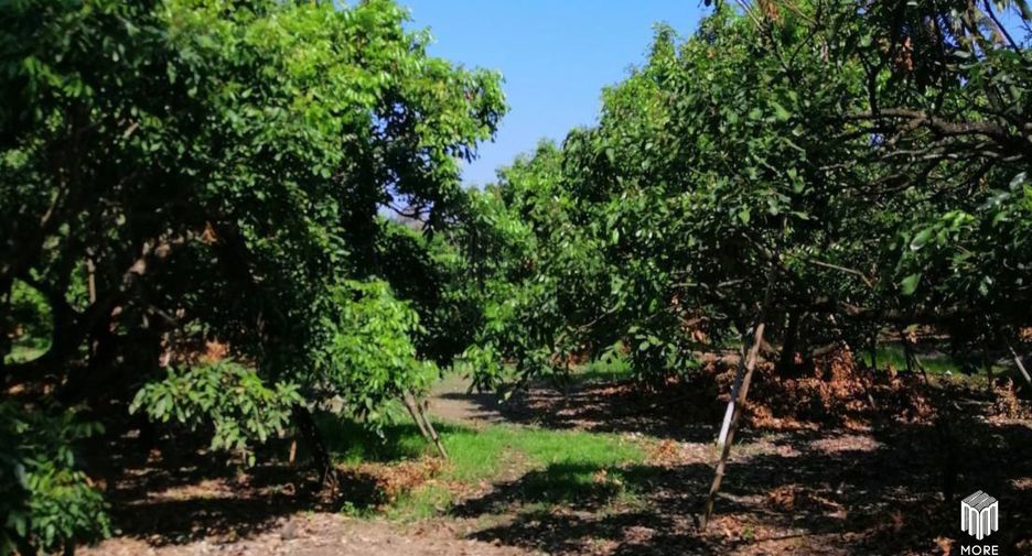 For sale land in Ban Thi, Lamphun
