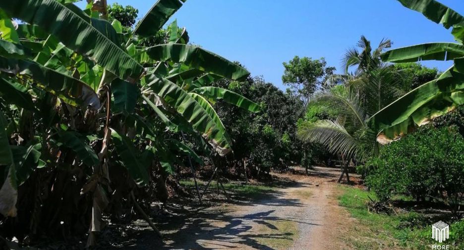 For sale land in Ban Thi, Lamphun
