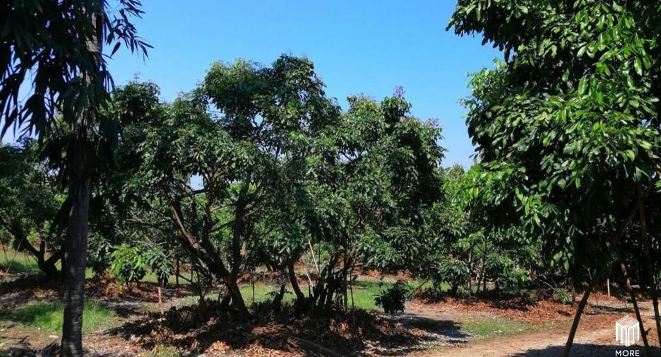 For sale land in Ban Thi, Lamphun