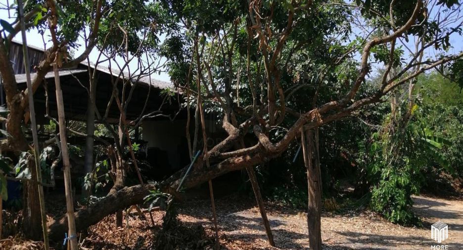 For sale land in Ban Thi, Lamphun