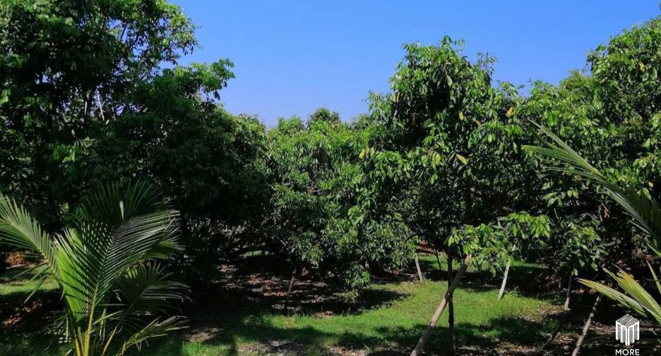 For sale land in Ban Thi, Lamphun
