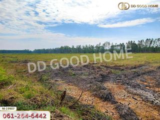 For sale land in Mueang Prachinburi, Prachin Buri