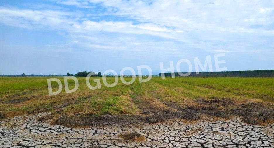 Grundstück zum Kauf in Mueang Prachinburi, Prachin Buri