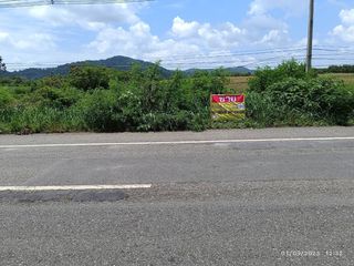 For sale land in Nong Phai, Phetchabun