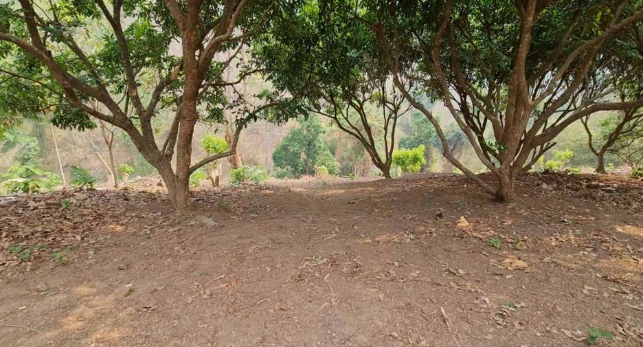 For sale land in Hang Dong, Chiang Mai