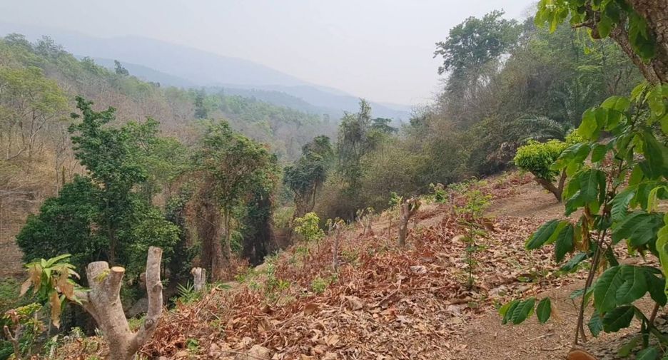 For sale land in Hang Dong, Chiang Mai