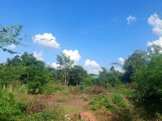 For sale land in Mueang Nong Khai, Nong Khai