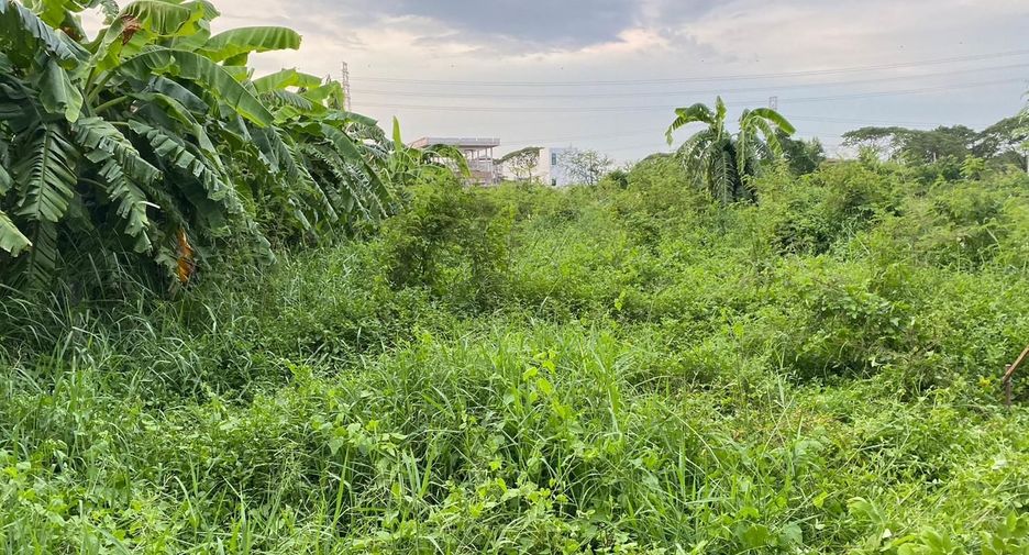 Terreno en venta en Prawet, Bangkok