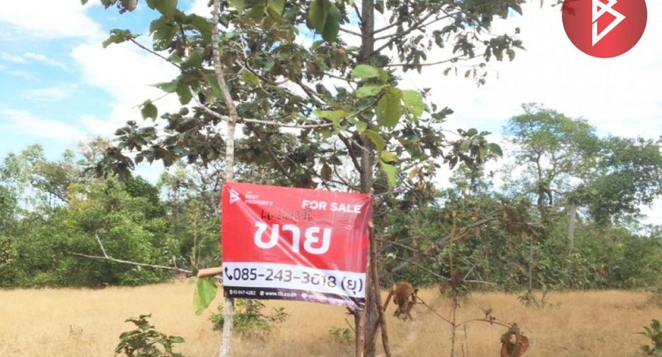 For sale land in Kham Khuean Kaeo, Yasothon