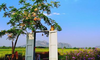For sale land in Pak Tho, Ratchaburi