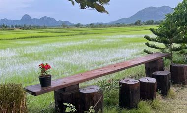 For sale land in Pak Tho, Ratchaburi