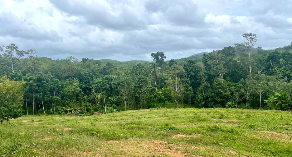 ขาย ที่ดิน ใน ตะกั่วทุ่ง, พังงา