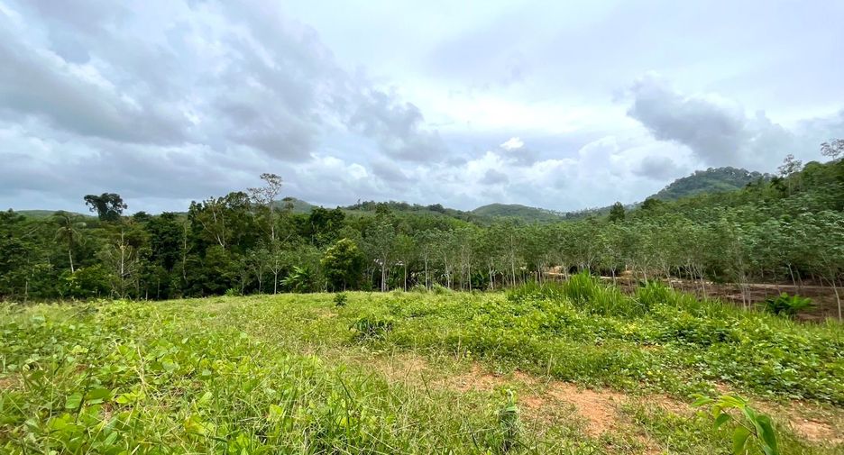 ขาย ที่ดิน ใน ตะกั่วทุ่ง, พังงา