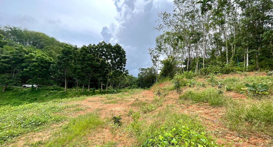 ขาย ที่ดิน ใน ตะกั่วทุ่ง, พังงา