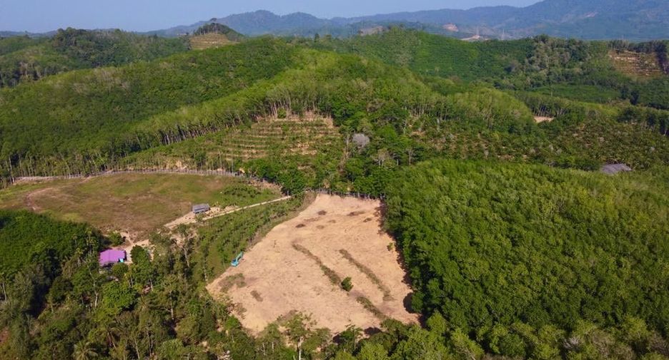 ขาย ที่ดิน ใน ตะกั่วทุ่ง, พังงา