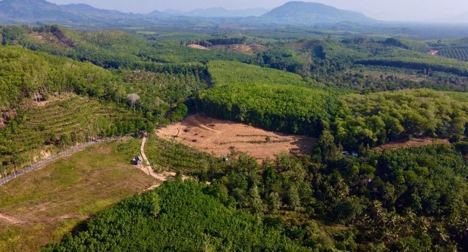 ขาย ที่ดิน ใน ตะกั่วทุ่ง, พังงา