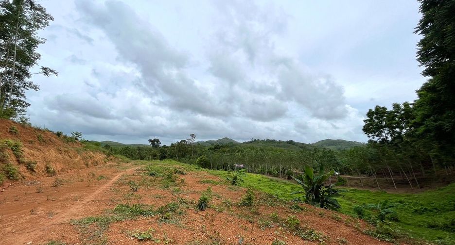 ขาย ที่ดิน ใน ตะกั่วทุ่ง, พังงา