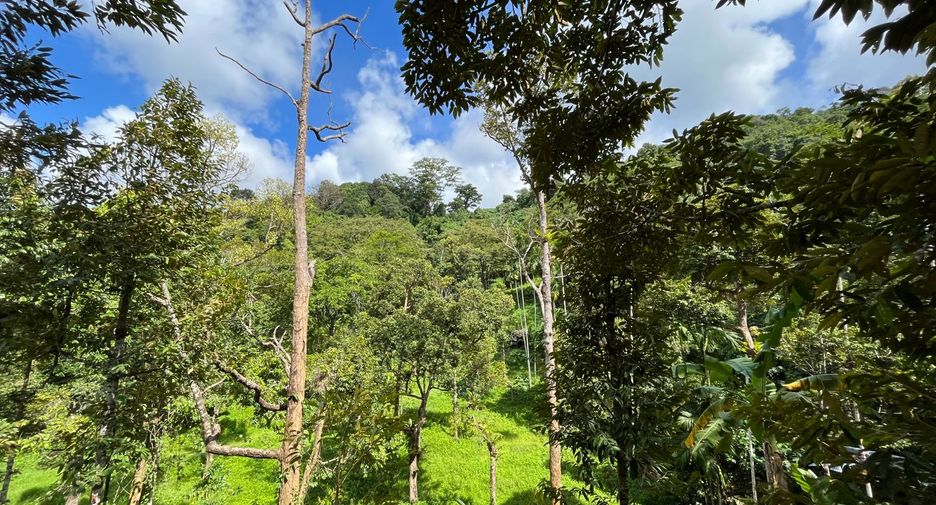 For sale land in Thalang, Phuket