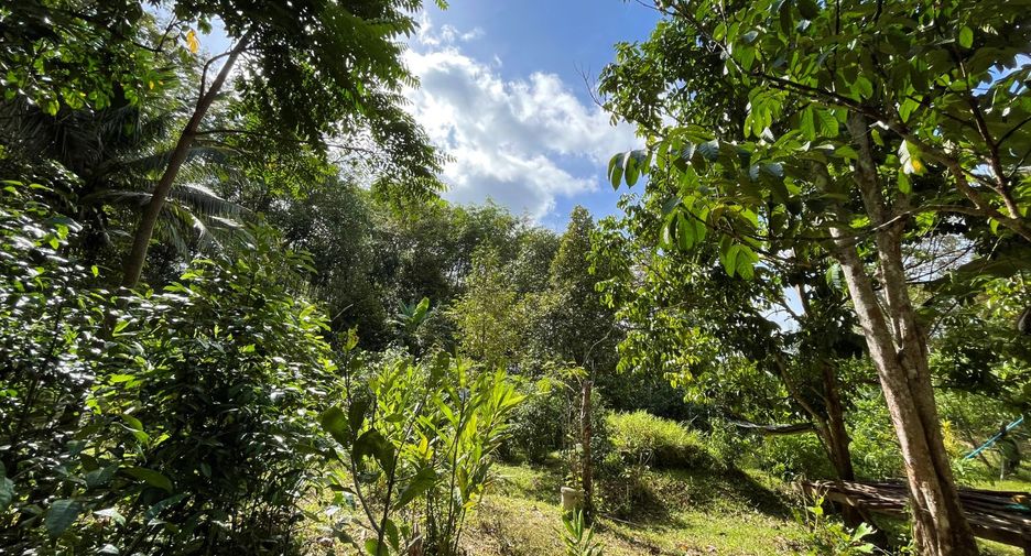 For sale land in Thalang, Phuket