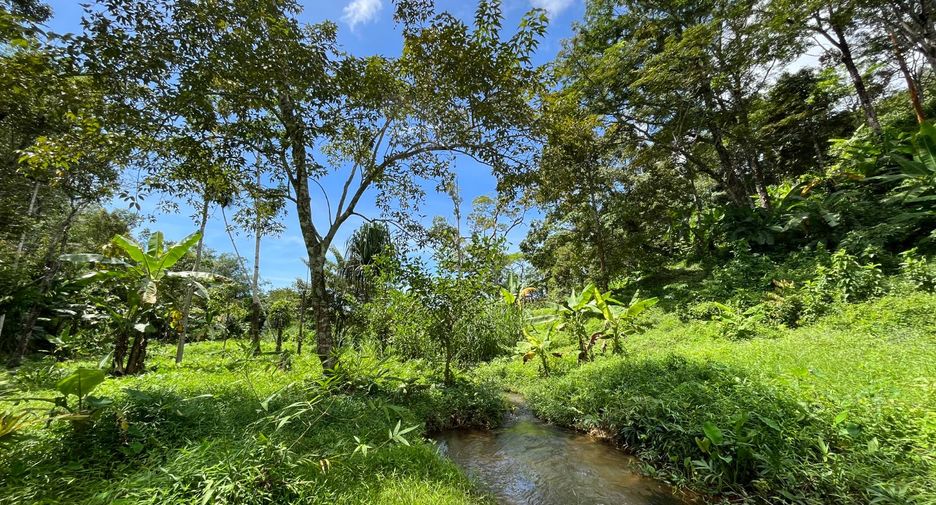 For sale land in Thalang, Phuket