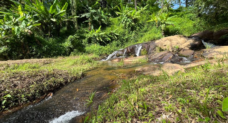For sale land in Thalang, Phuket