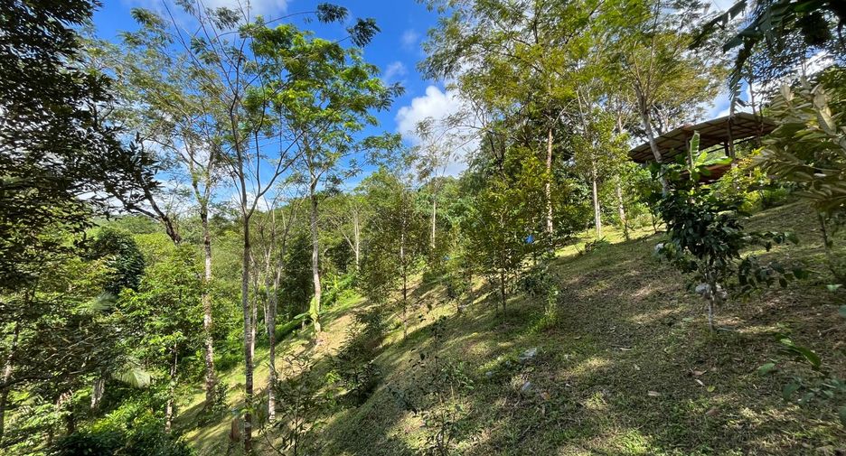 For sale land in Thalang, Phuket
