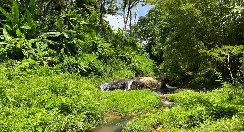 For sale land in Thalang, Phuket